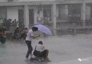 娱乐吃瓜酱爷爷撑伞,娱乐界温馨一幕